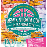 REMIX NIIGATA CUP チラシ